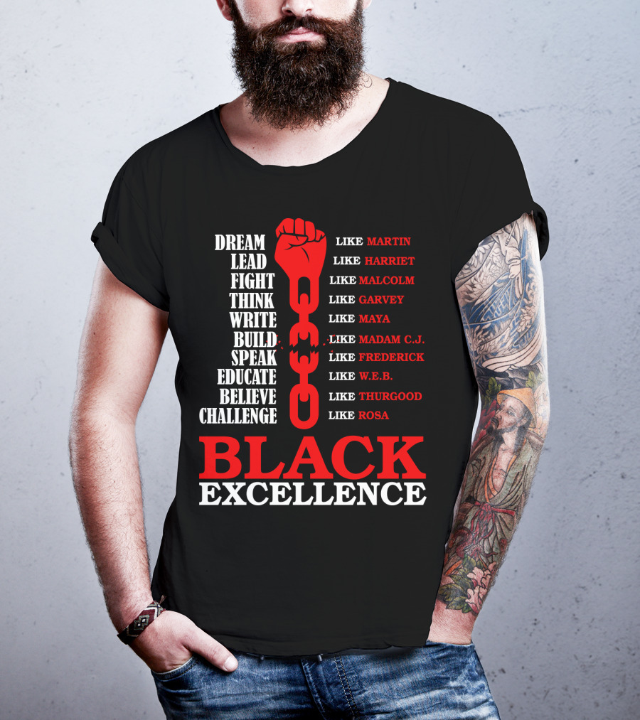 Dream Lead Fight Think Black Excellence Like Martin Like Rosa T-Shirt