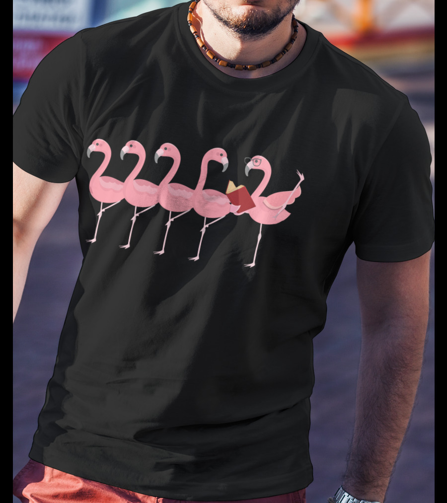 Teacher Flamingo Reading To Class Of Flamingos T-Shirt