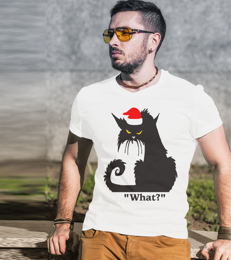 What Cat With Santa Hat T-Shirt