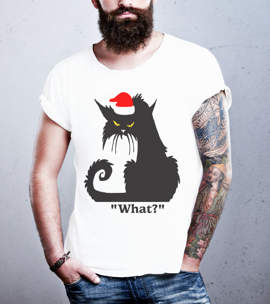 What Cat With Santa Hat T-Shirt