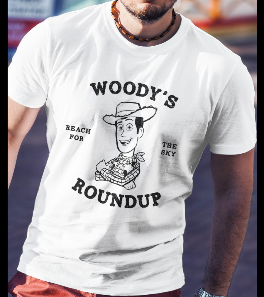 Woody's Roundup Reach For The Sky Disney Pixar T-Shirt