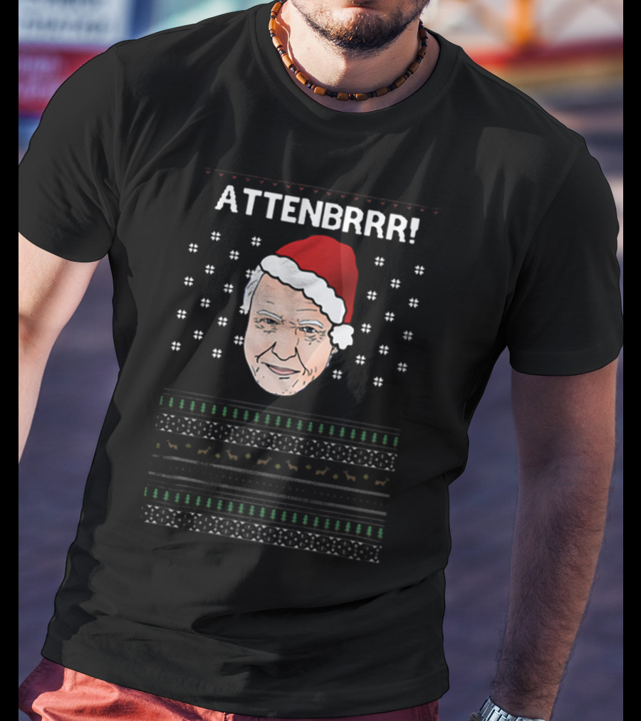 David Attenborough Attenbrrr Christmas Sweater Style Santa Hat Snowflakes T-Shirt
