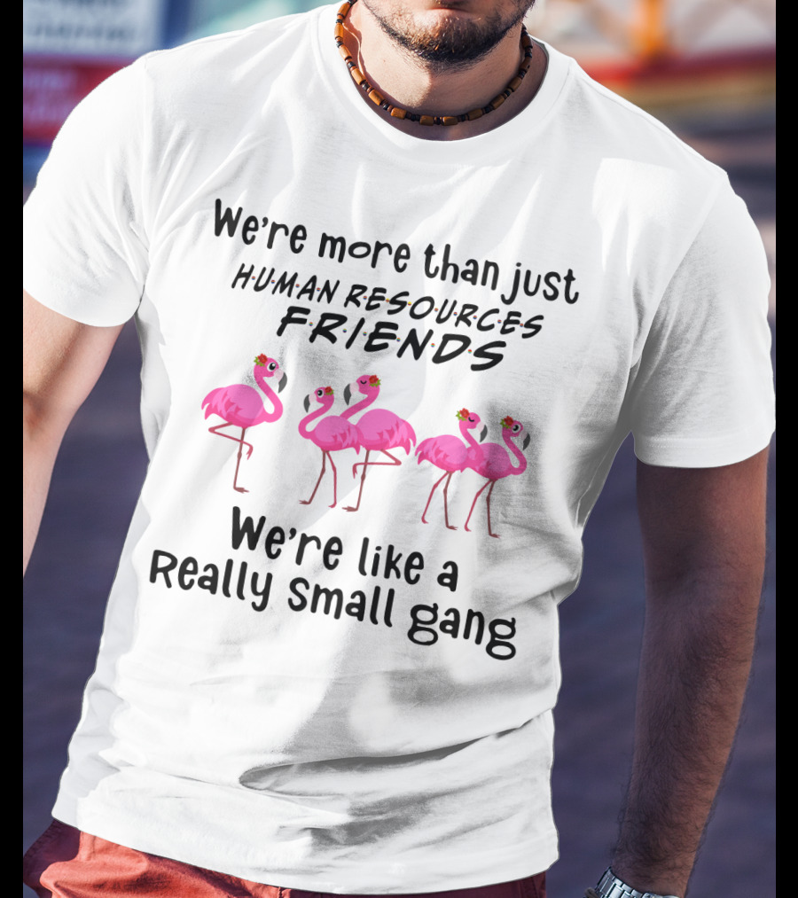 We're More Than Just Human Resources Friends We're Like A Really Small Gang With Flamingos T-Shirt
