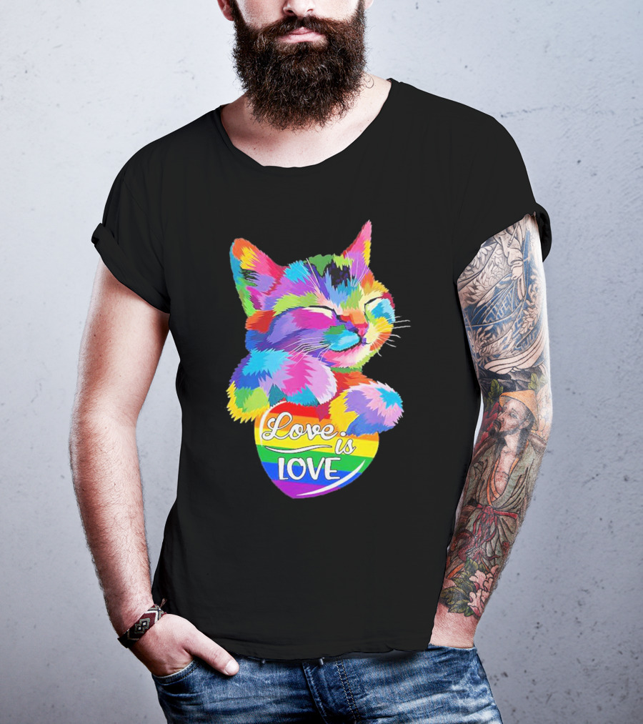 Catlove Colorful Rainbow Cat Love Is Love T-Shirt
