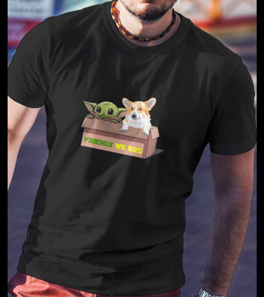 Baby Yoda Friends We Are Corgi In Box T-Shirt