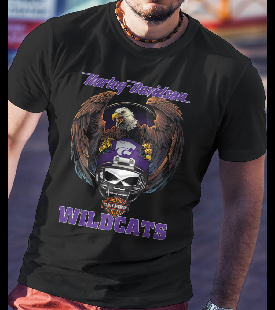 Harley Davidson Wildcats Motorcycle Cycles Eagle Helmet T-Shirt