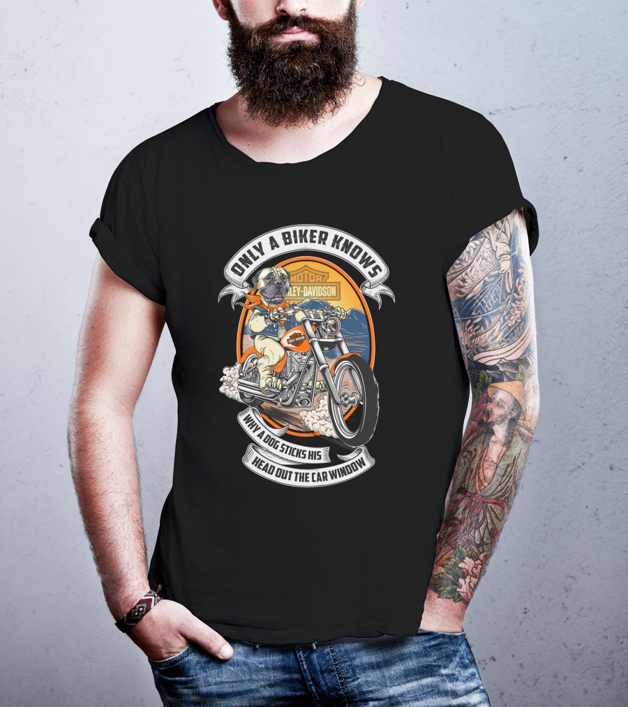 Only A Biker Knows Why A Dog Sticks His Head Out The Car Window Harley Davidson Bullmastiff T-Shirt