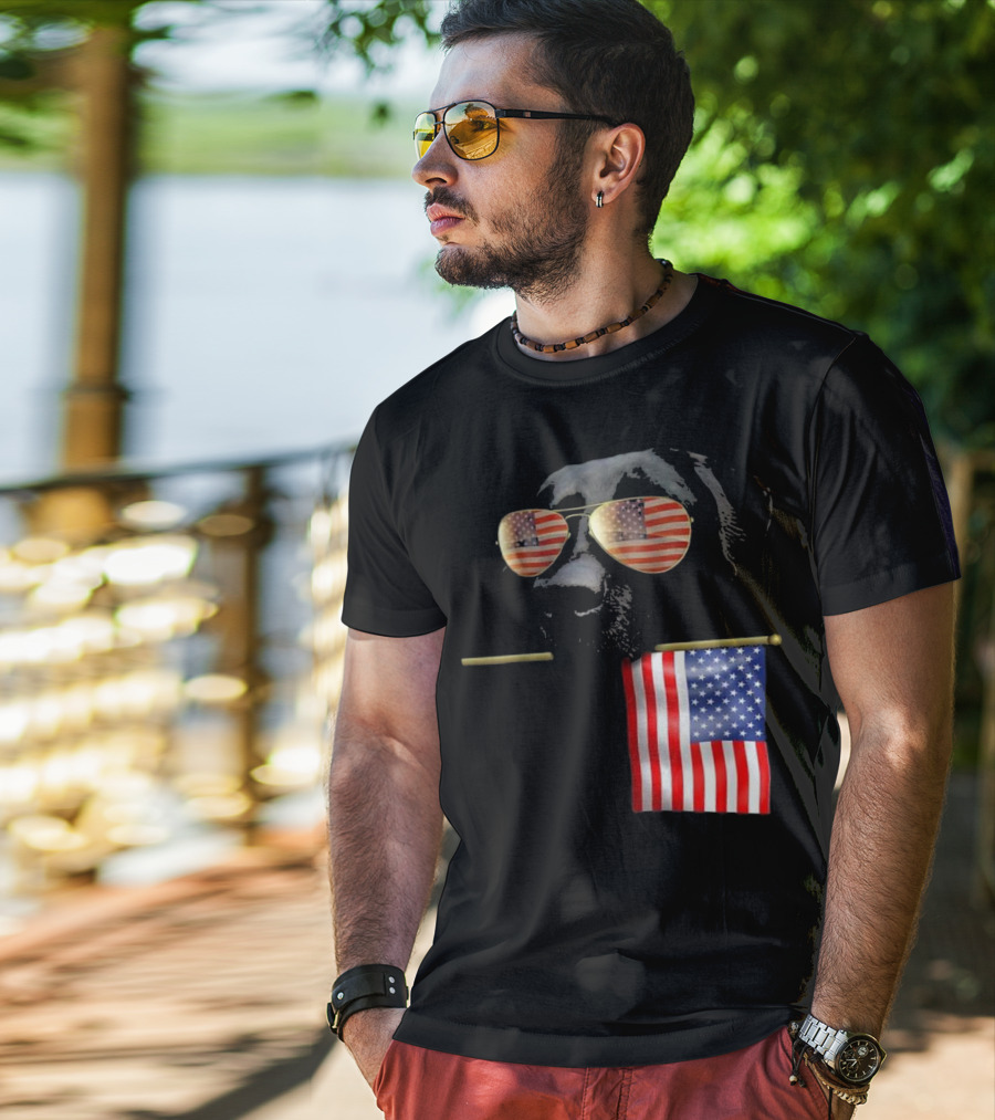Patriotic Labrador With American Flag Shades Fourth Of July T-Shirt