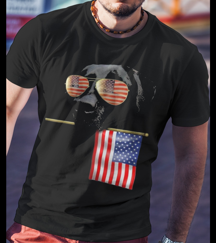 Patriotic Labrador With American Flag Shades Fourth Of July T-Shirt