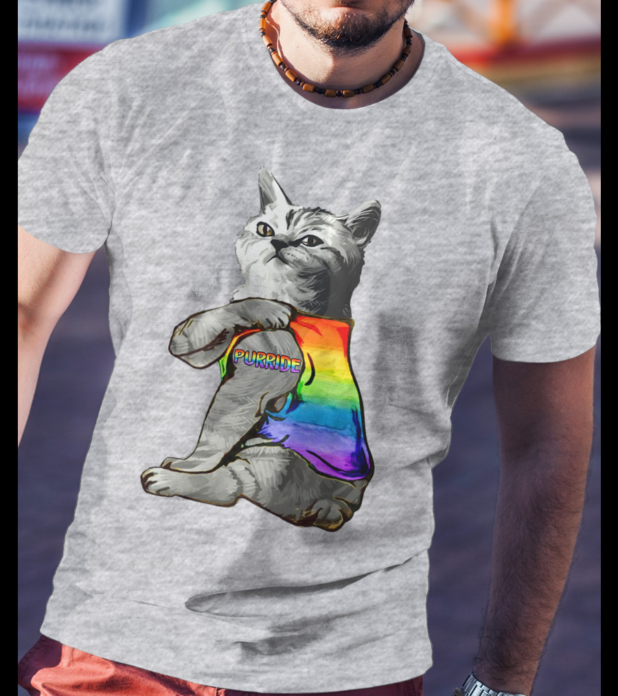 Purride Cat In Rainbow Colors T-Shirt