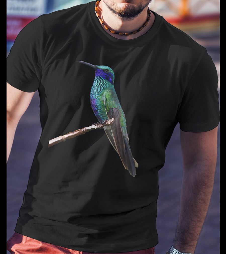 Hummingbird Bird Ornithology Vivid Green And Blue Perched Bird T-Shirt