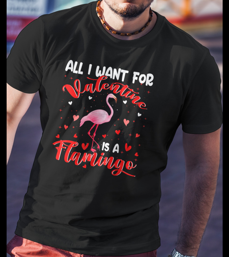 All I Want For Valentine Is A Flamingo T-Shirt