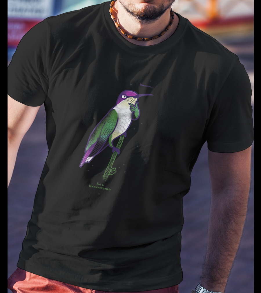 Hmmmm Fig 1. Hummmingbird T-Shirt