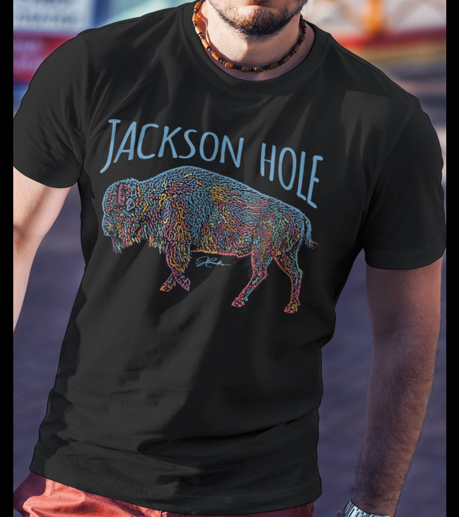 Jackson Hole Wyoming Colorful American Bison JCombs T-Shirt