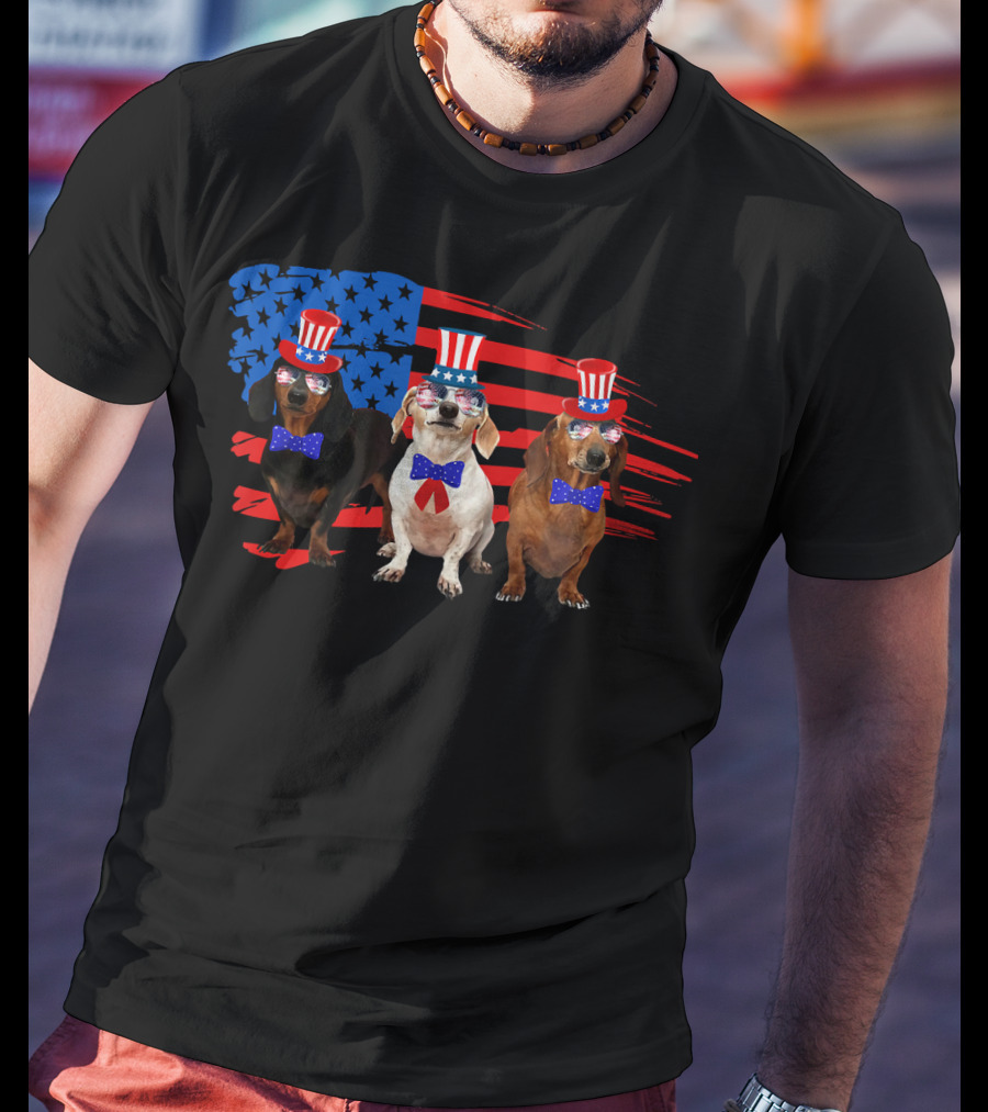 American Patriotic Dachshund Lover July Independence Day Trio T-Shirt