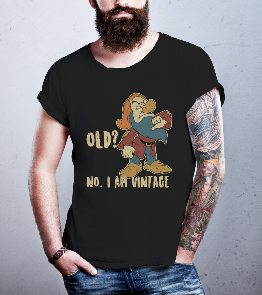 Grumpy Old? No. I Am Vintage T-Shirt