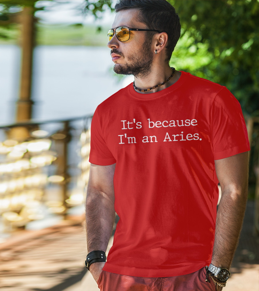 It's Because I'm An Aries Horoscope Gifts Women Girls Men Zodiac Sign Astrology T-Shirt
