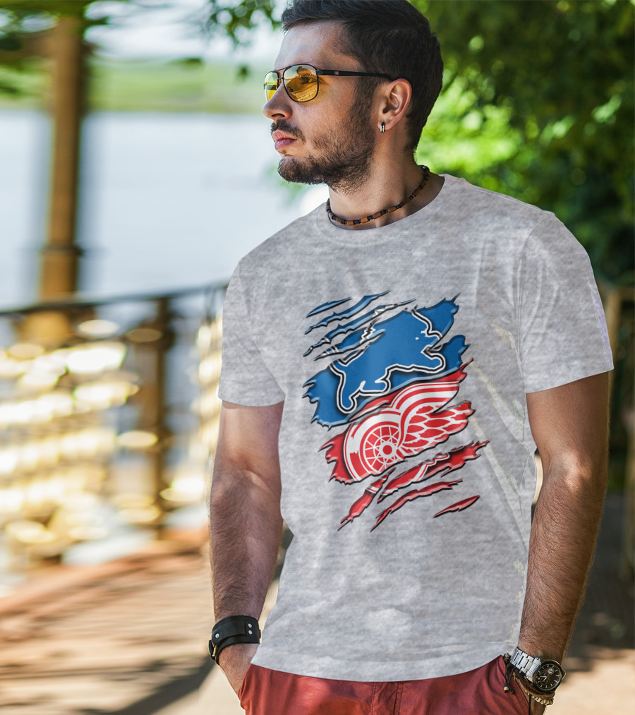Detroit Red Wings Buffalo Sabres Vintage Mashup T-Shirt