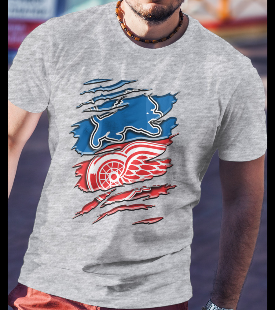 Detroit Red Wings Buffalo Sabres Vintage Mashup T-Shirt