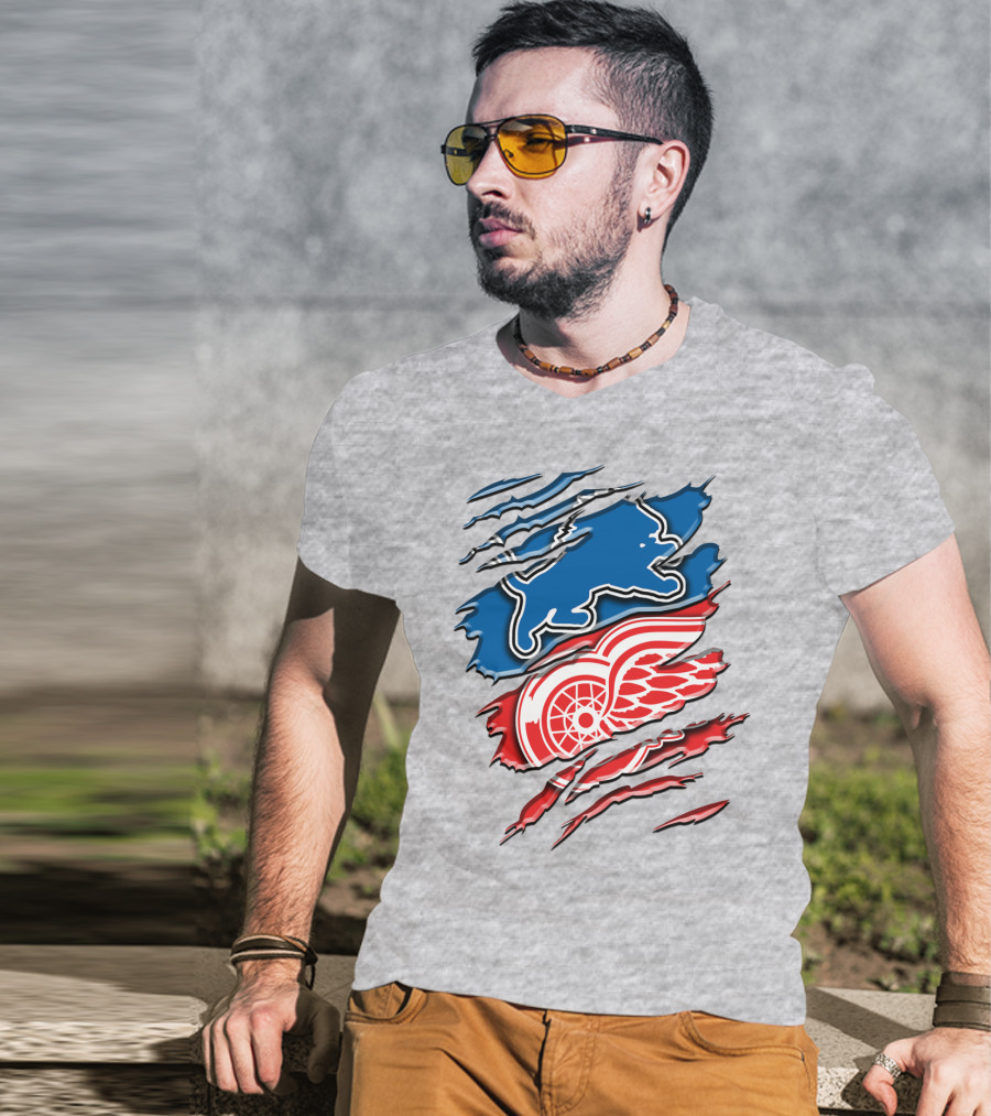 Detroit Red Wings Buffalo Sabres Vintage Mashup T-Shirt