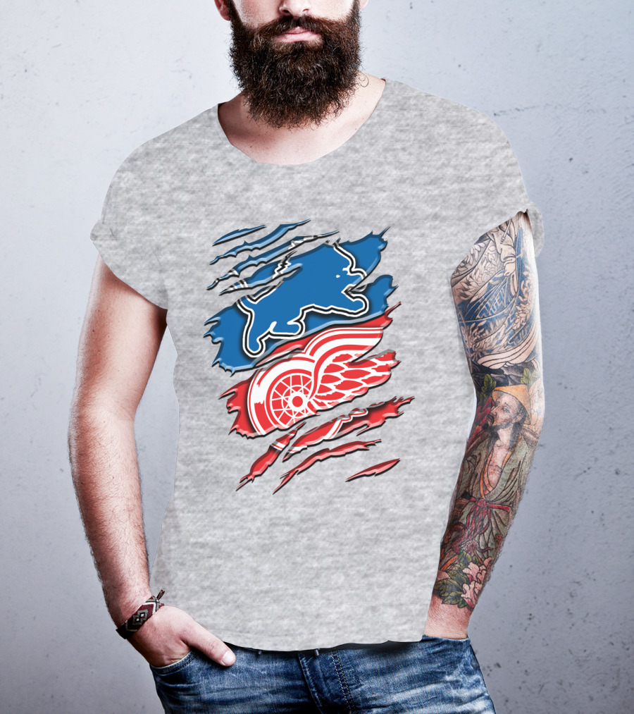 Detroit Red Wings Buffalo Sabres Vintage Mashup T-Shirt