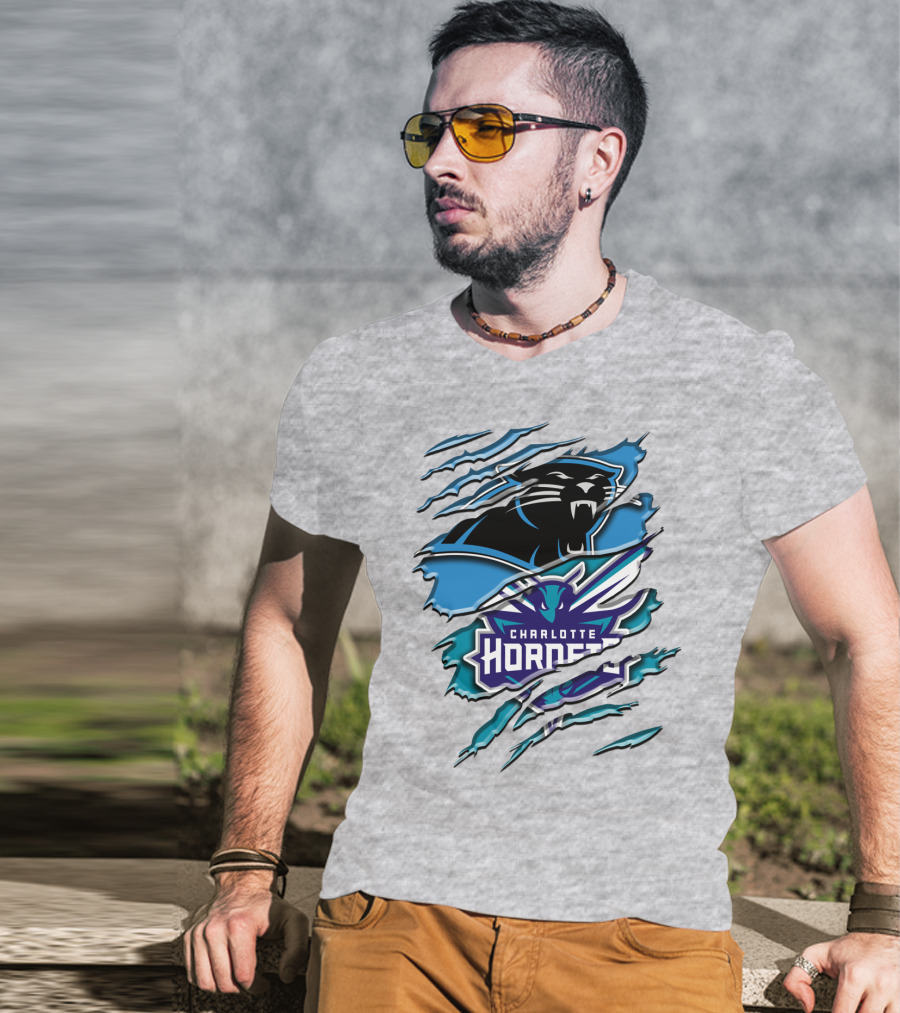 Panther And Charlotte Hornets Logo Rah T-Shirt