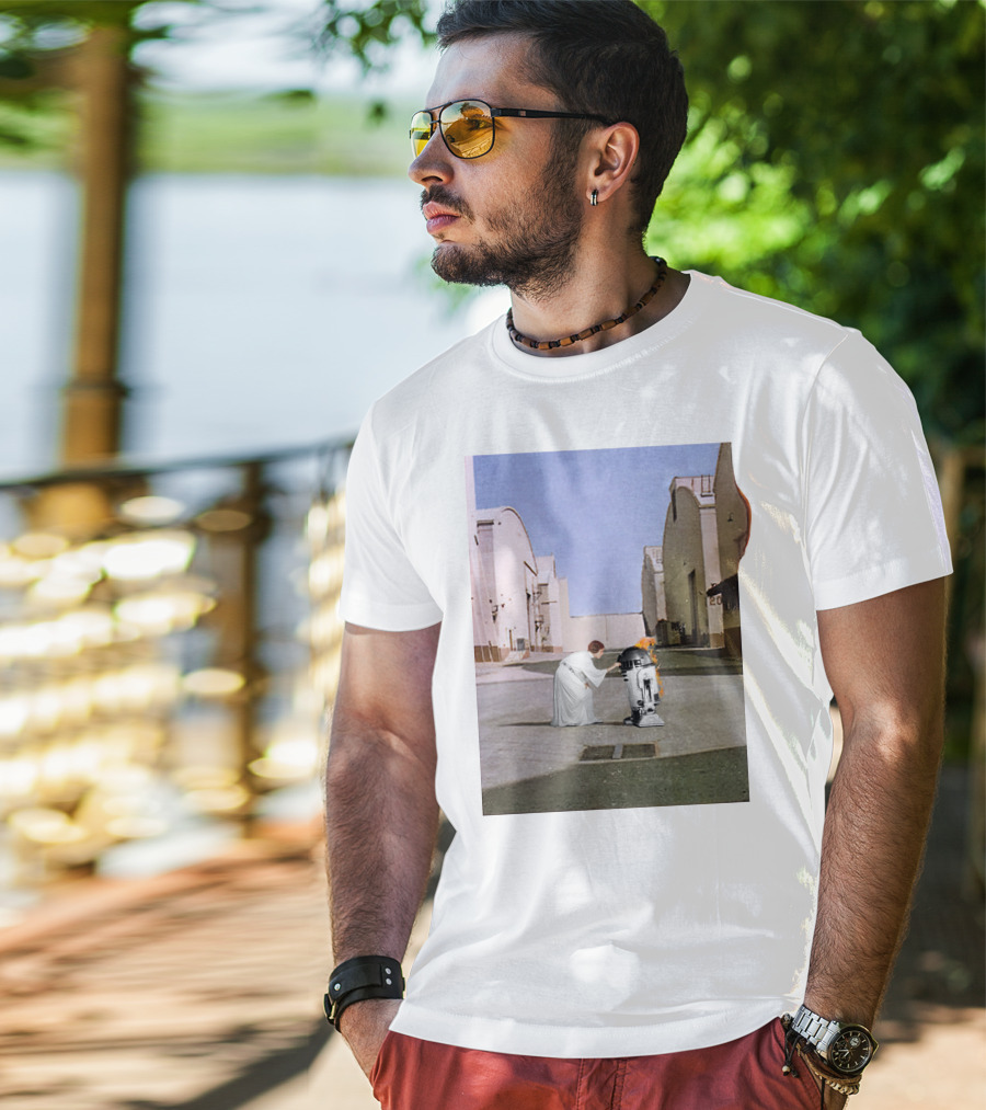 Wish You Were Leia With Princess And Droid In Iconic Courtyard Scene T-Shirt