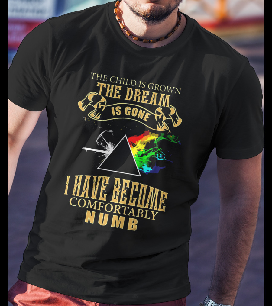 The Child Is Grown The Dream Is Gone Comfortably Numb Triangle Spectrum T-Shirt