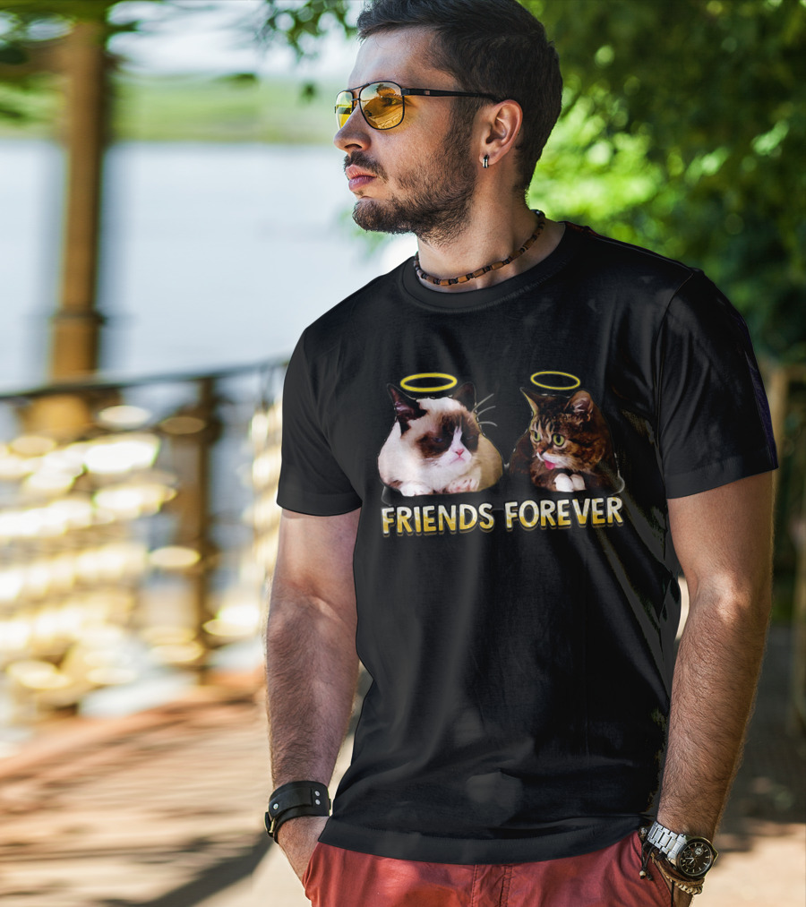 Grumpy Lil Bub Friends Forever T-Shirt