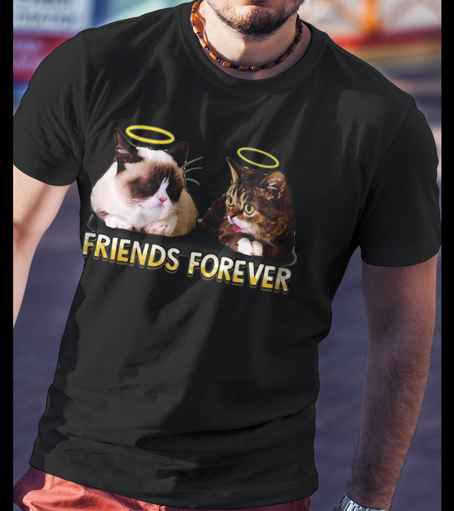 Grumpy Lil Bub Friends Forever T-Shirt