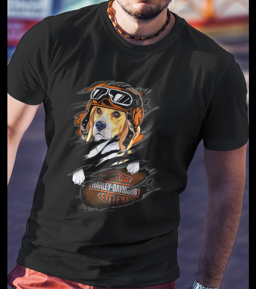 Beagle Wearing Aviator Helmet With Harley Davidson Cycles T-Shirt