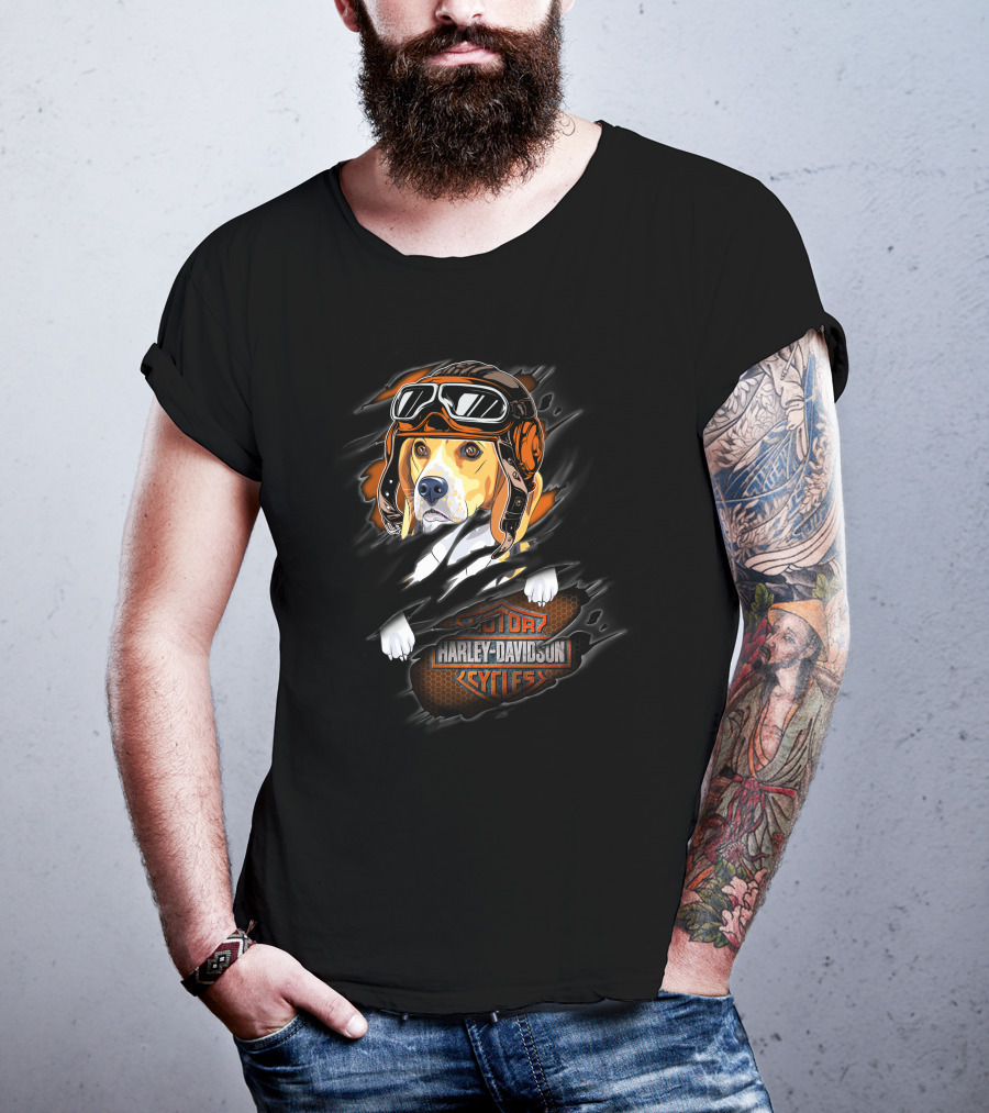 Beagle Wearing Aviator Helmet With Harley Davidson Cycles T-Shirt