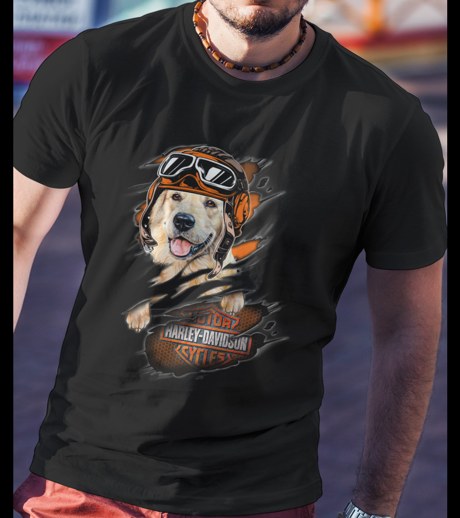 Golden Retriever Wearing Biker Helmet With Harley Davidson Motorcycles T-Shirt