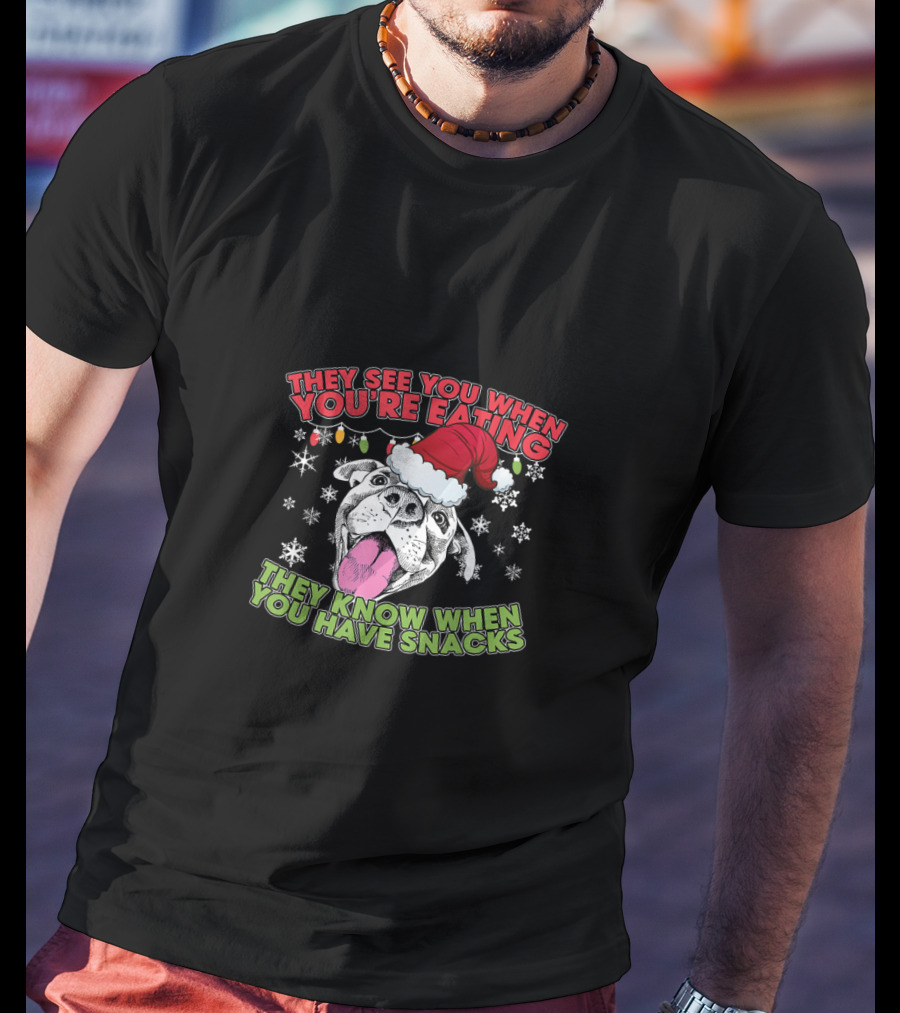 Christmas Pitbull Lover They See You When You're Eating Santa Hat Snowflakes T-Shirt
