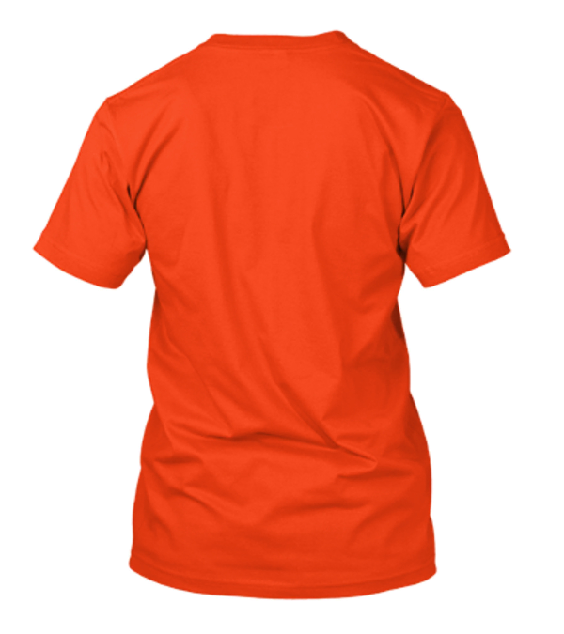 One Spooktacular Teacher Halloween Spider And Bat T-Shirt