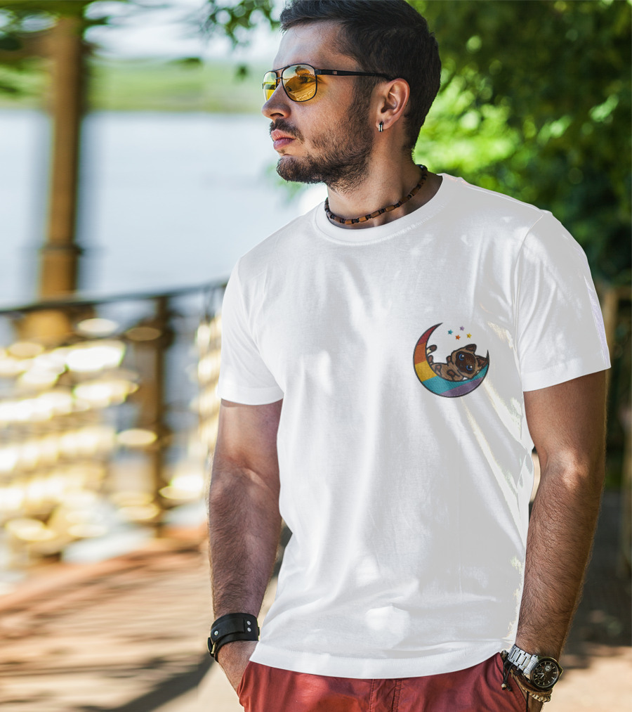 Notantfrost X Dream Merch Perfectly Impurrfect Rainbow Crescent Cat With Stars T-Shirt