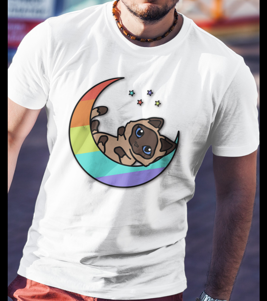 Antfrost Cat On Rainbow Crescent With Stars T-Shirt