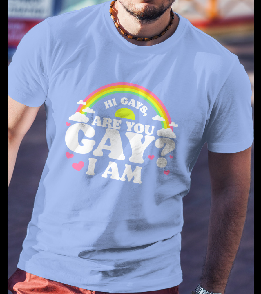 Chrissy Chlapecka Merch Hi Gays Are You Gay I Am With Rainbow And Hearts T-Shirt