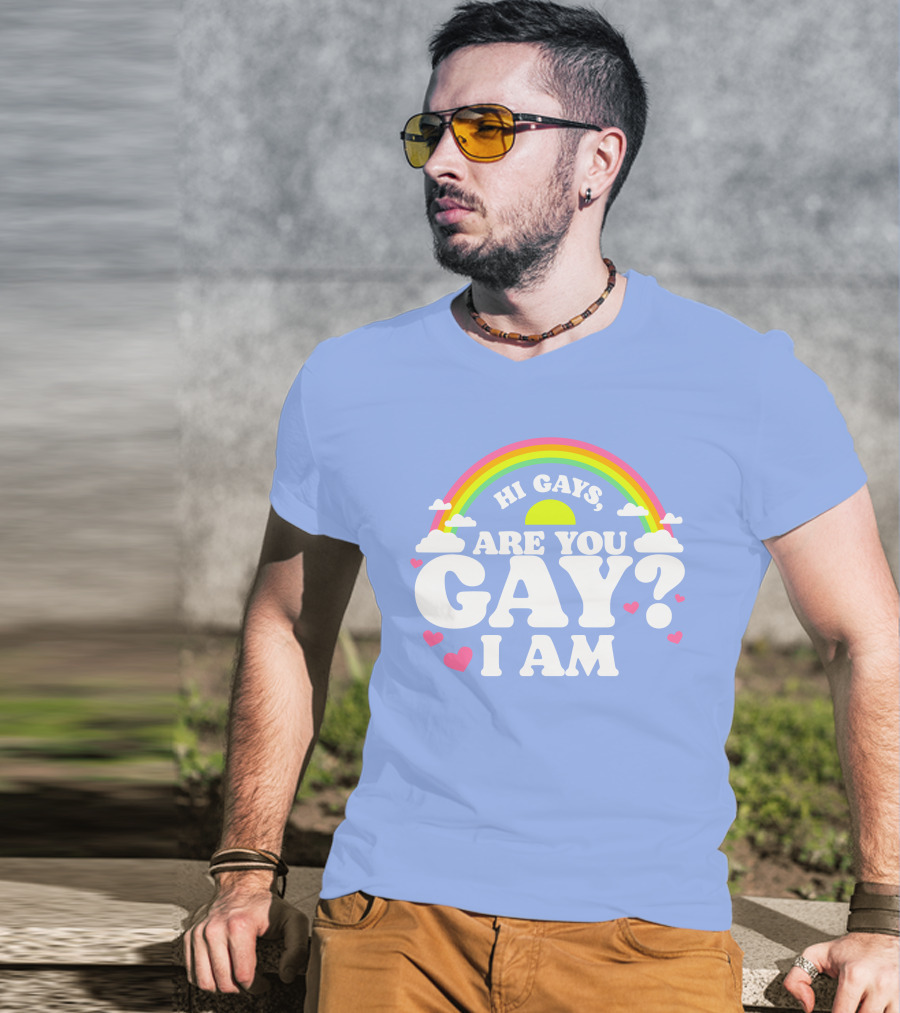 Chrissy Chlapecka Merch Hi Gays Are You Gay I Am With Rainbow And Hearts T-Shirt