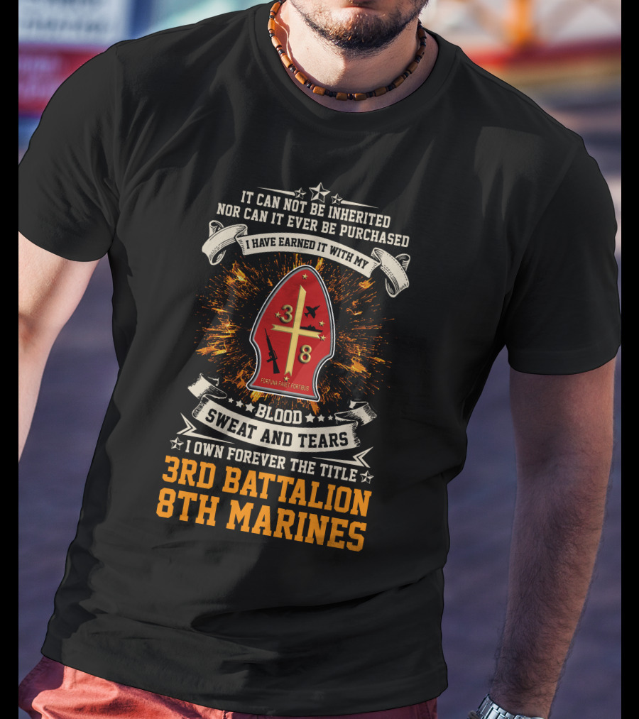 I Own Forever The Title 3Rd Battalion 8Th Marines Blood Sweat And Tears T-Shirt