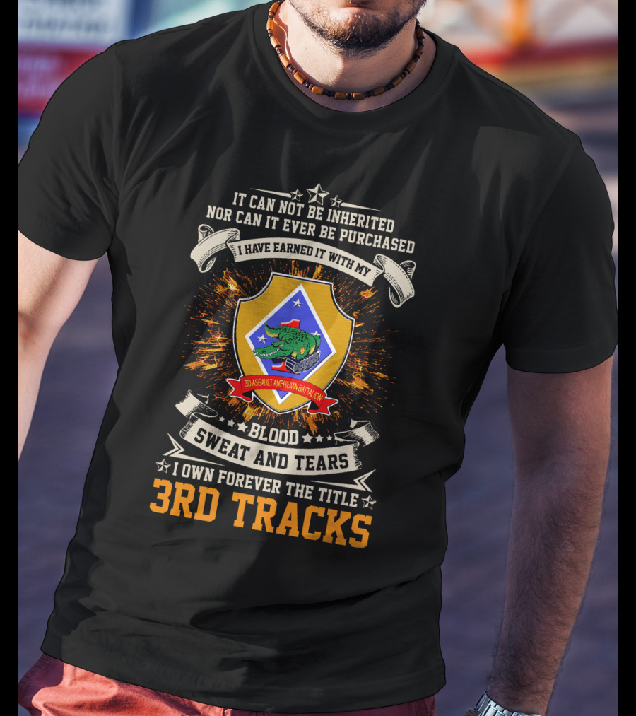 3rd Assault Amphibian Battalion Blood Sweat And Tears I Own Forever The Title 3rd Tracks T-Shirt