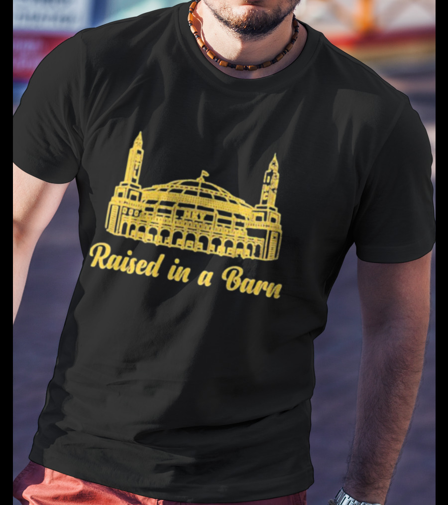 Raised In A Barn Iconic Arena T-Shirt