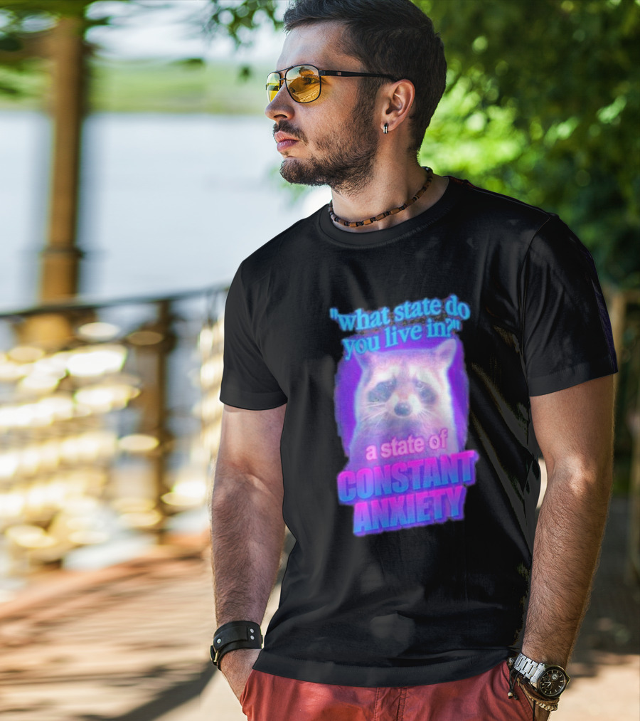 Raccoon In A State Of Constant Anxiety Meme T-Shirt