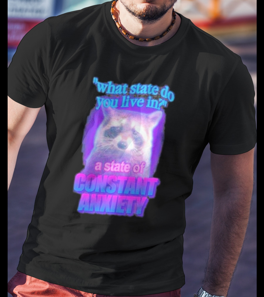 Raccoon In A State Of Constant Anxiety Meme T-Shirt