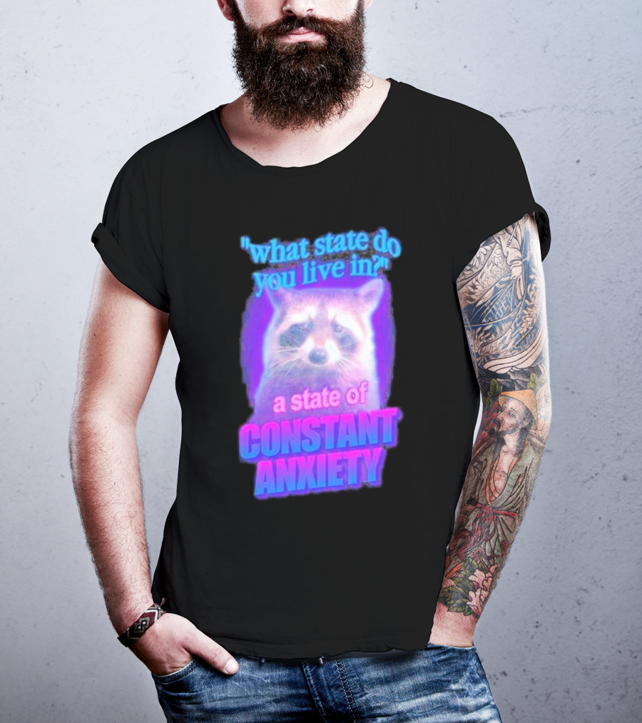 Raccoon In A State Of Constant Anxiety Meme T-Shirt