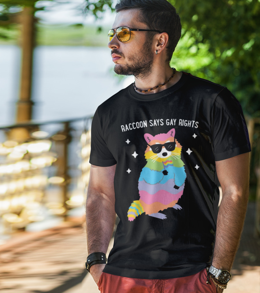 Raccoon Says Gay Rights Pride Rainbow Sunglasses Flag T-Shirt