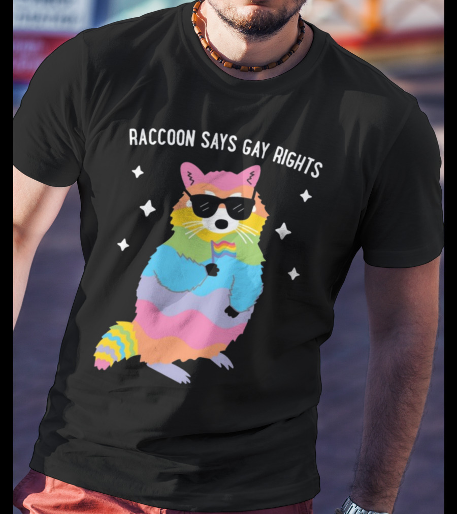 Raccoon Says Gay Rights Pride Rainbow Sunglasses Flag T-Shirt