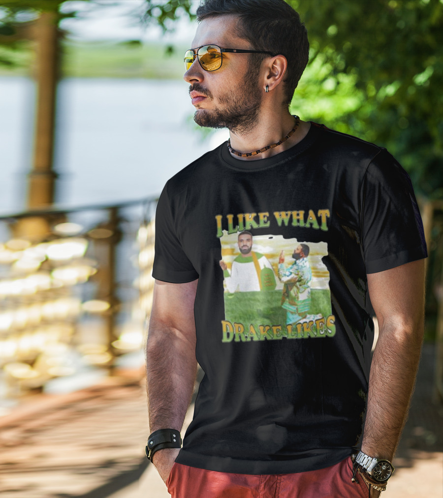 I Like What Drake Likes T-Shirt