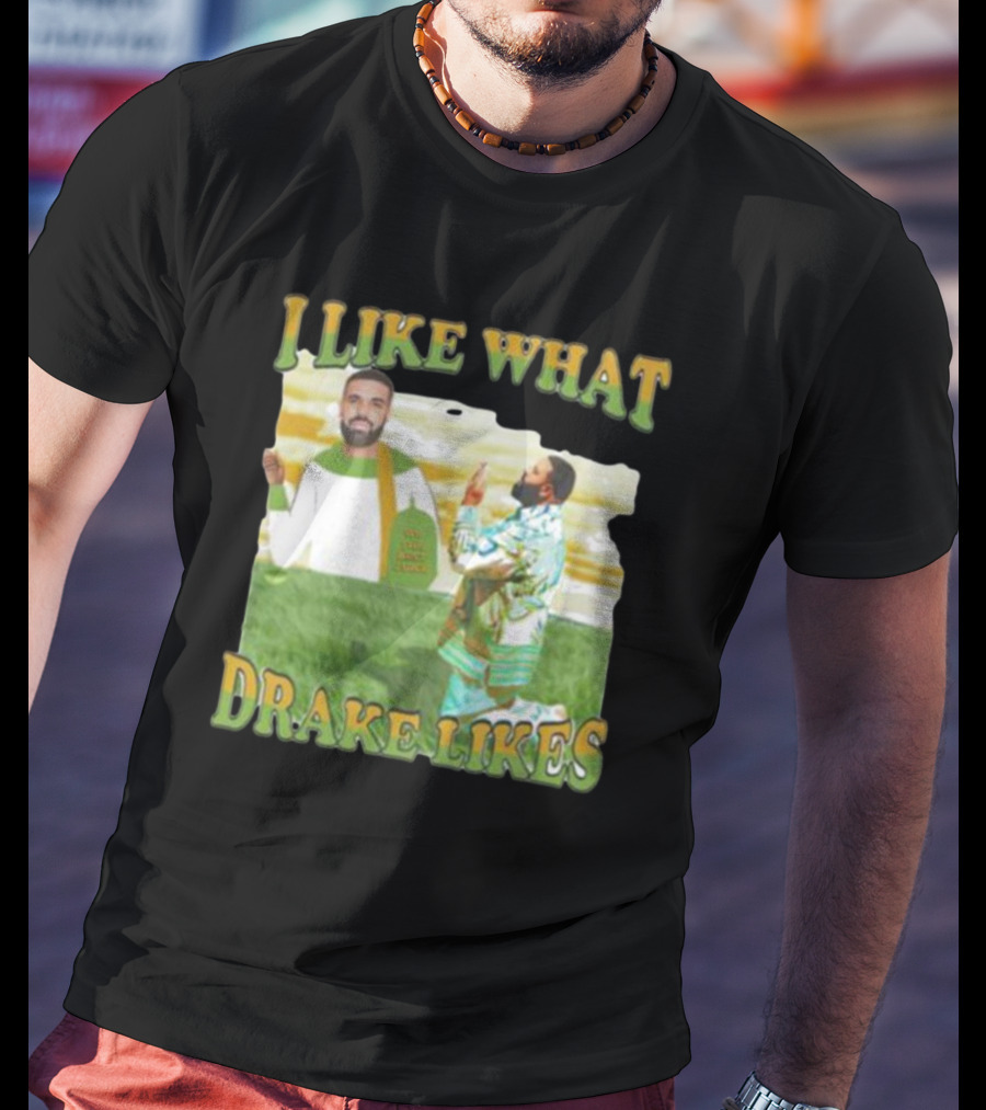 I Like What Drake Likes T-Shirt