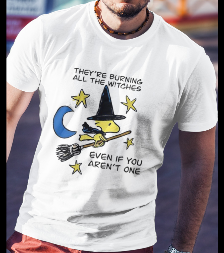 They’re Burning All The Witches Even If You Aren’t One Woodstock Wizard Stars Moon Broomstick T-Shirt